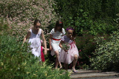 IMG 0835